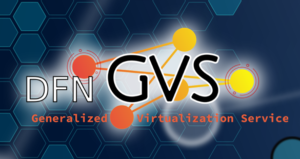 DFN-GVS Logo.