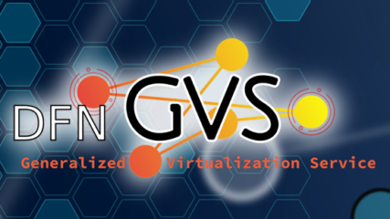 Zur Seite: DFN-GVS
